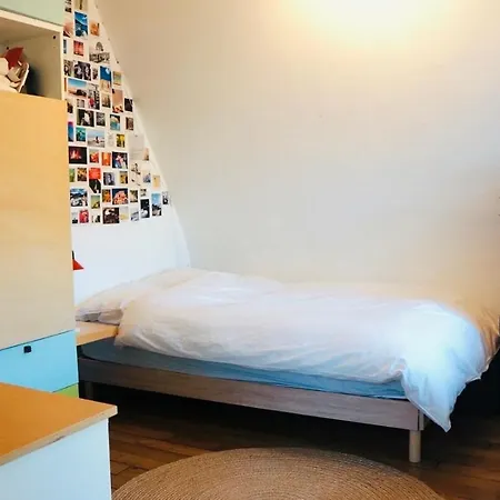 Vue Panoramique Sur Les Toits De Apartment Paris