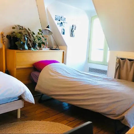 Vue Panoramique Sur Les Toits De Apartment Paris