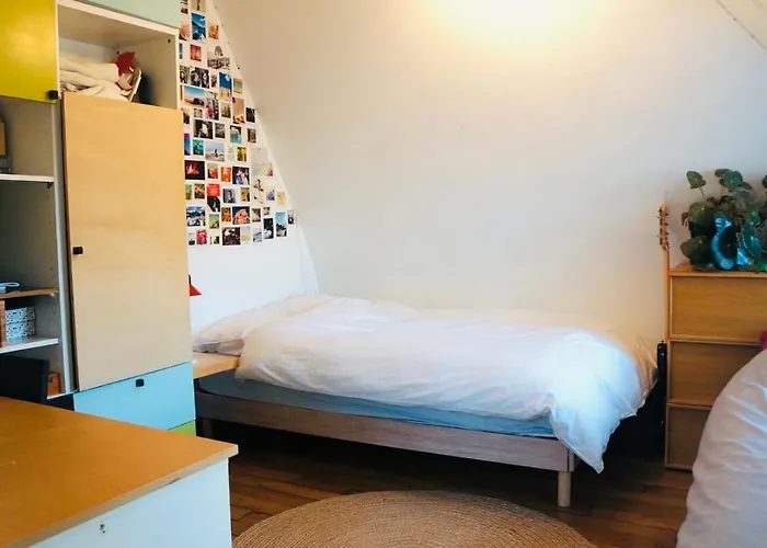 Vue Panoramique Sur Les Toits De Apartmán Paříž